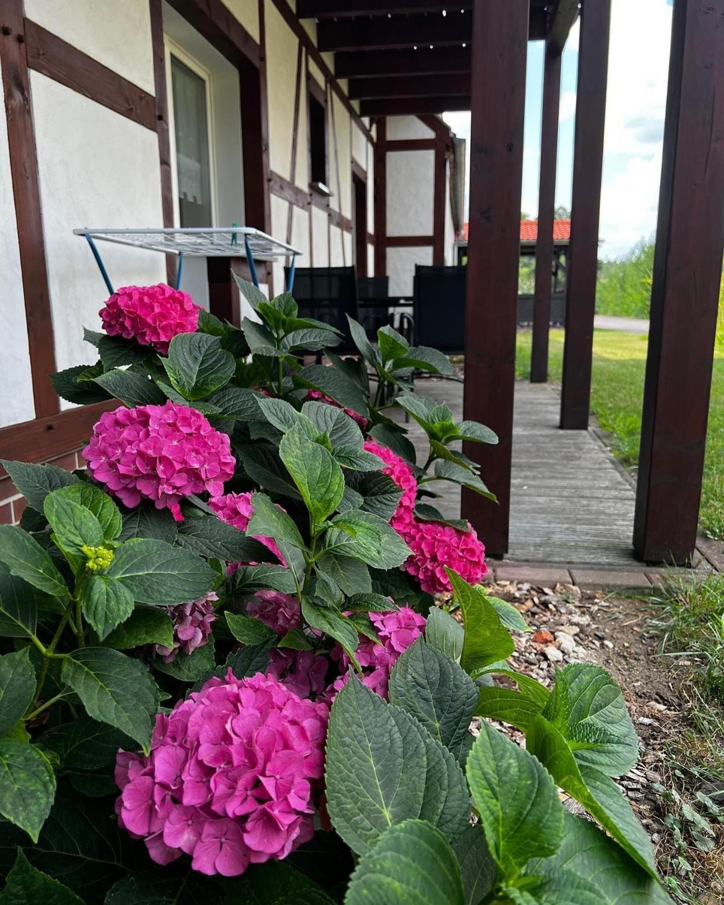 Landhaus Brodack Alt Zauche Exterior foto